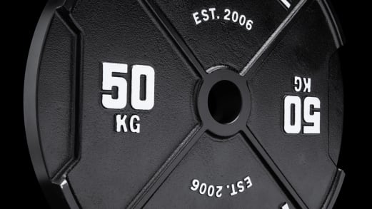 Rogue Calibrated KG Steel Plates | Rogue Fitness